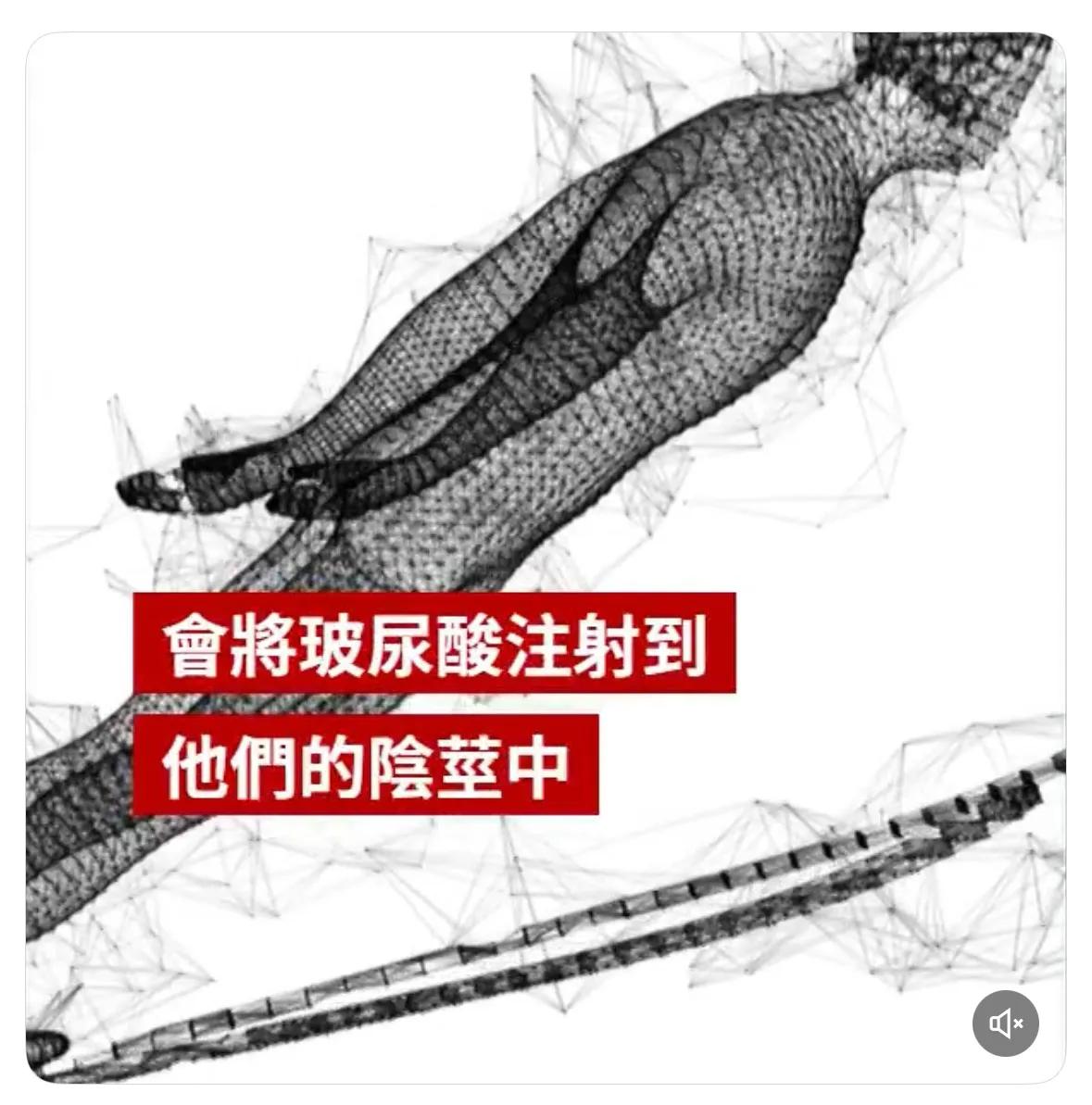 世界反禁药组织表示，若有证据显示男性跳台滑雪选手为提升竞技表现而对阴茎进行注射，