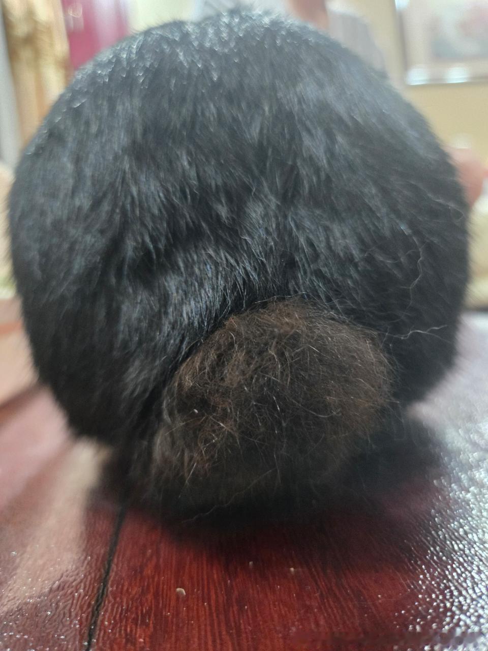 13683🐇【谁敢闻】极品黑兔屁屁 