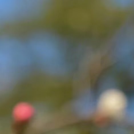 从现在起，开启每日一善之旅。随手关灯，节约能源是善；爱护公共设施，维护环境美观是