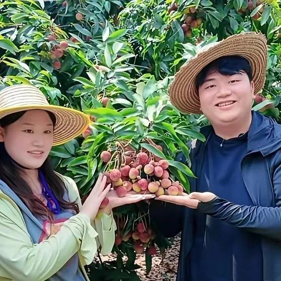 全红婵的哥哥捐了3万给广西灾区，结果被全网追着骂“作秀”“格局太小”。

我就纳