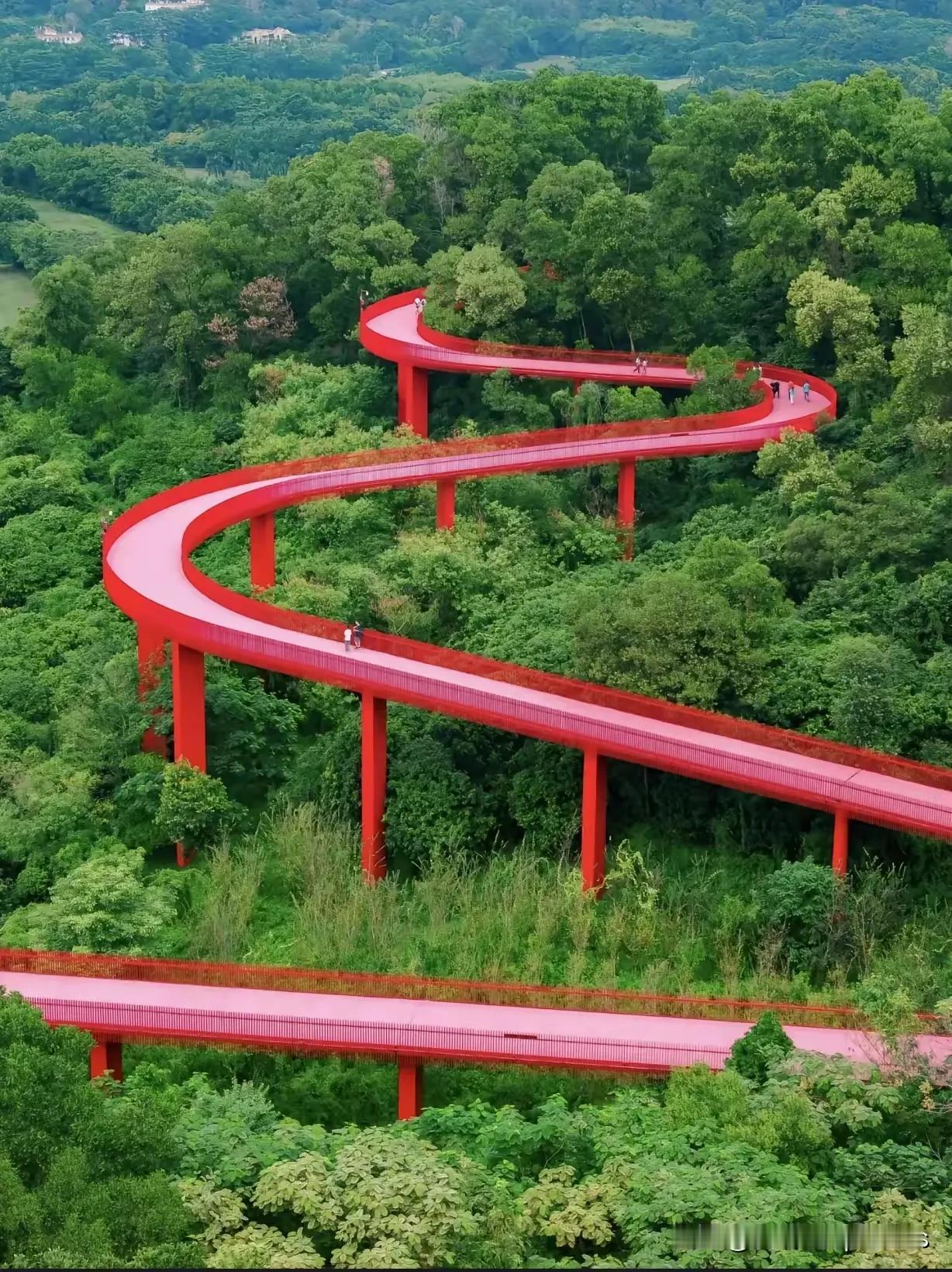 令人瞠目的深圳又一世纪工程—一光明虹桥公园步道！
当你来到深圳市光明区虹桥公园游