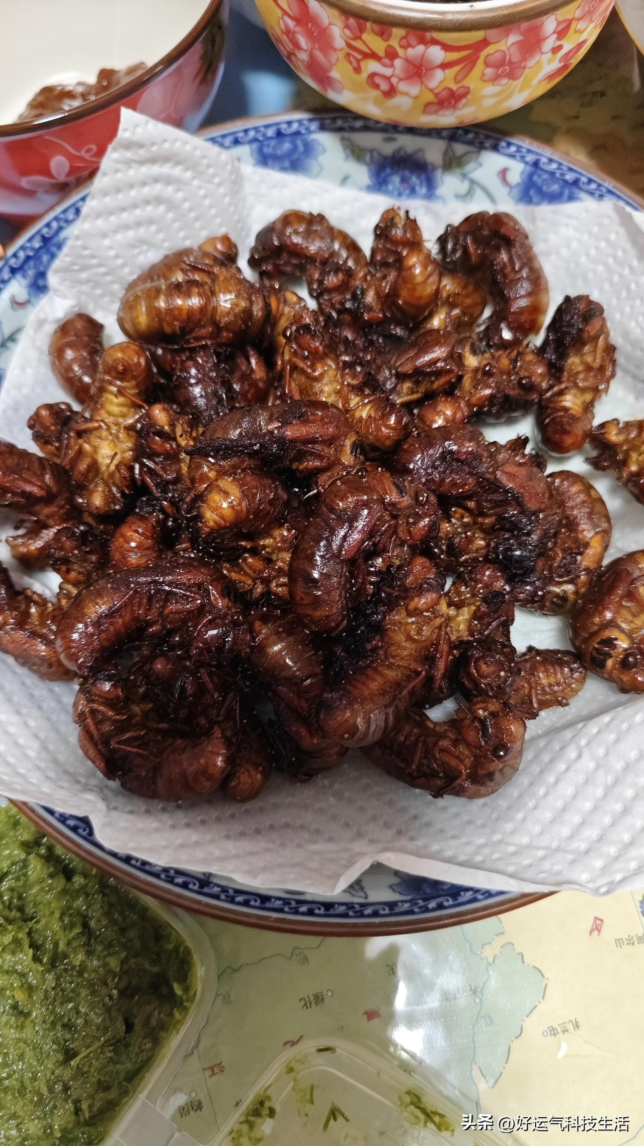 虚惊一场！手机号莫名显示异常，可把我吓坏了
 
一大早打算查下手机话费，结果系统