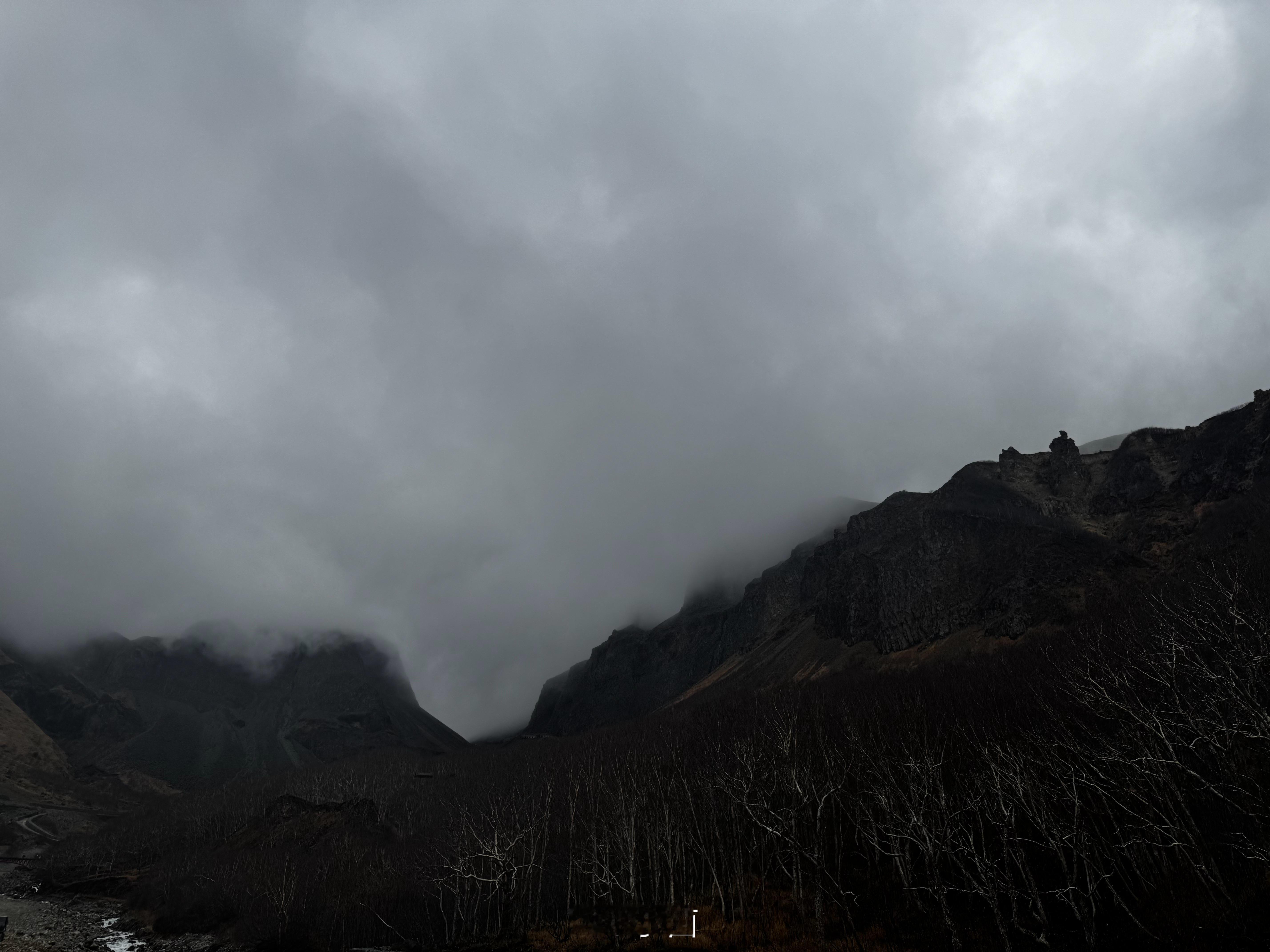 早朋友们小菌 白山·长白山