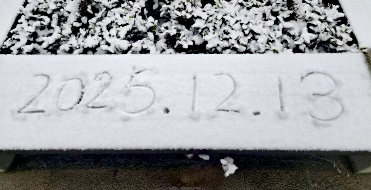 今日分享随手拍照片