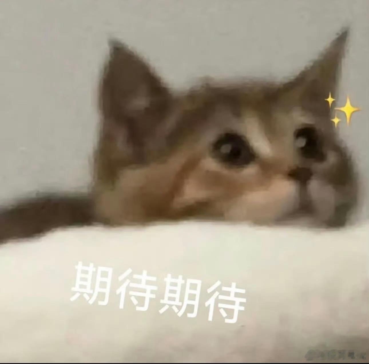 玩加专访 预告今天我们将有机会采访到BLG的Xun选手，大家有什么想问的问题吗？