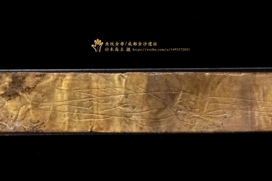这是什么鱼？