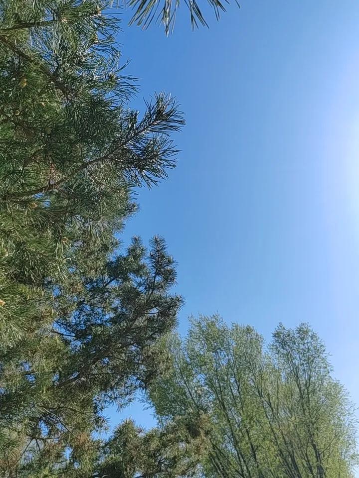 在你们当地能看到这么蓝的天空吗？好美呀，好美！