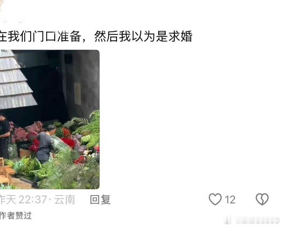 哥哥，我愿意