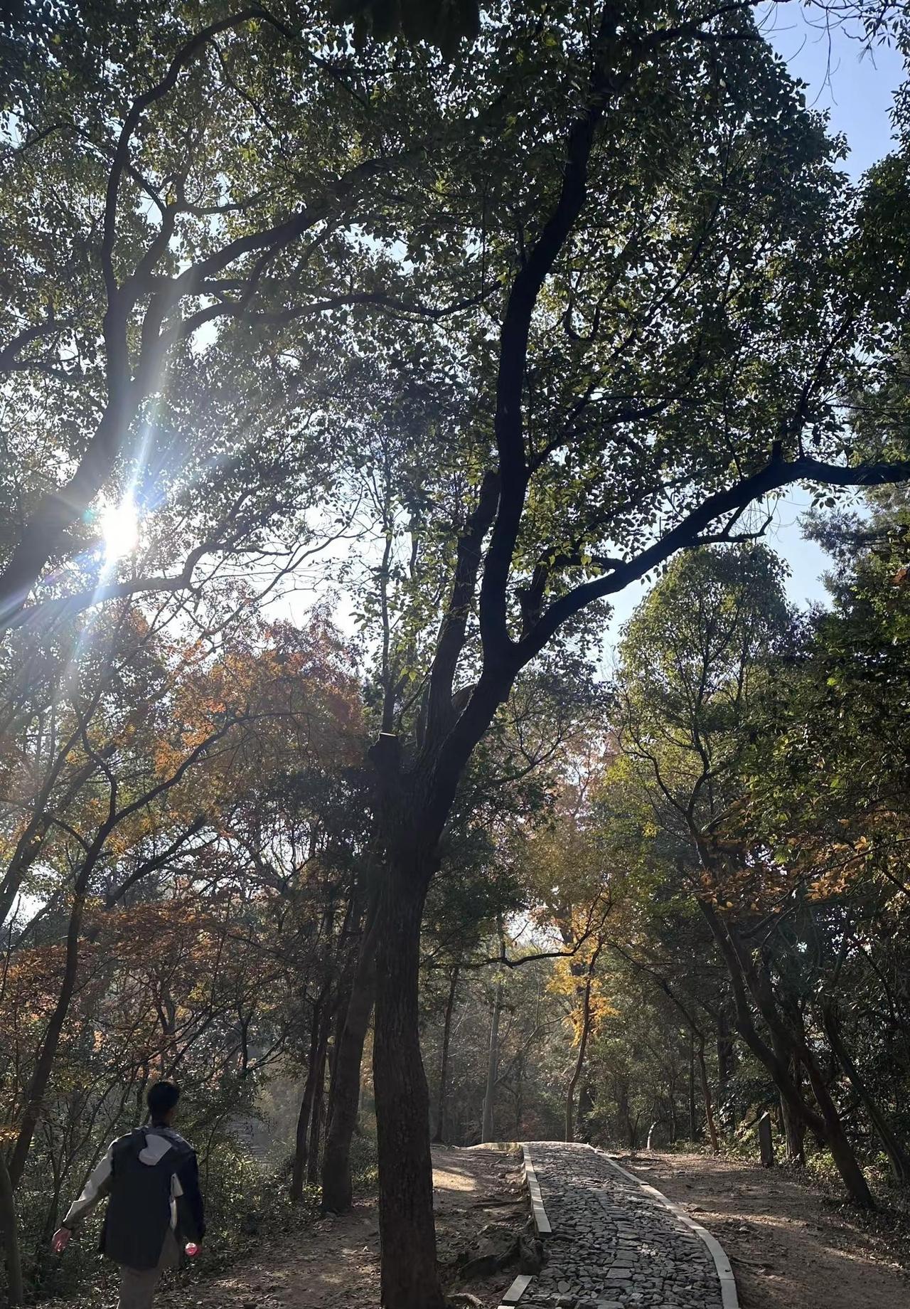 登山 爬山 爬山推荐 自然风景