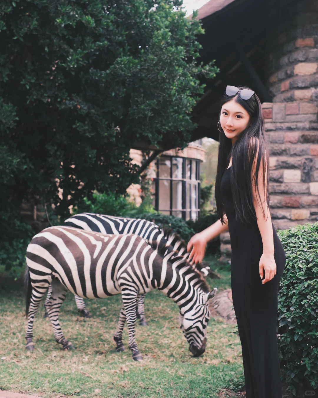 幸福在这一刻具像化🦒🦓