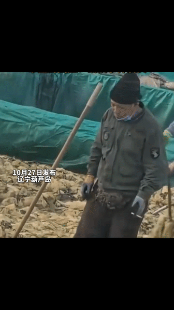 真是缺德加冒烟，缺德到家了！

视 频显示，一位员工制作老坛酸菜时，全程抽烟。