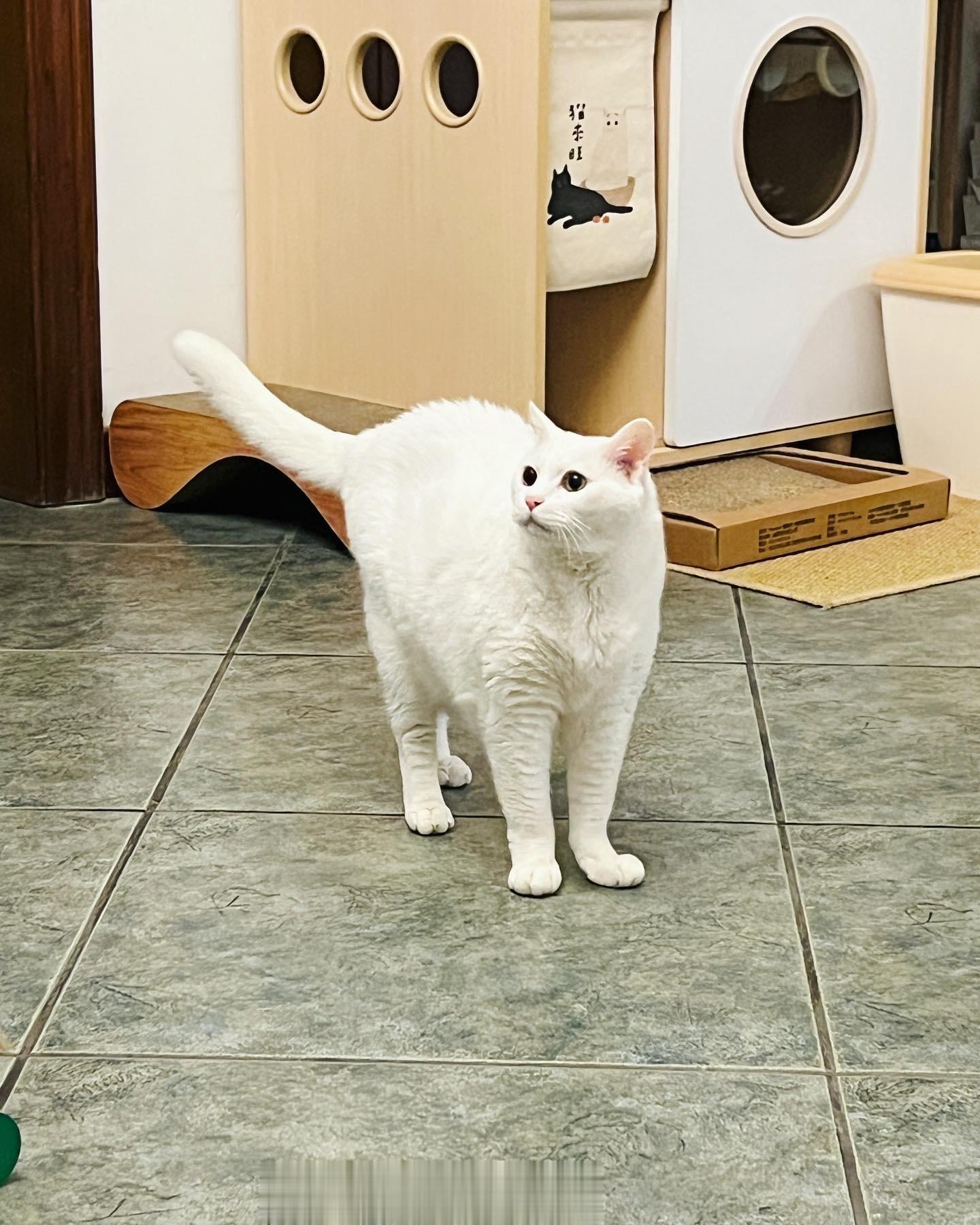 哥94帥。 ​​​