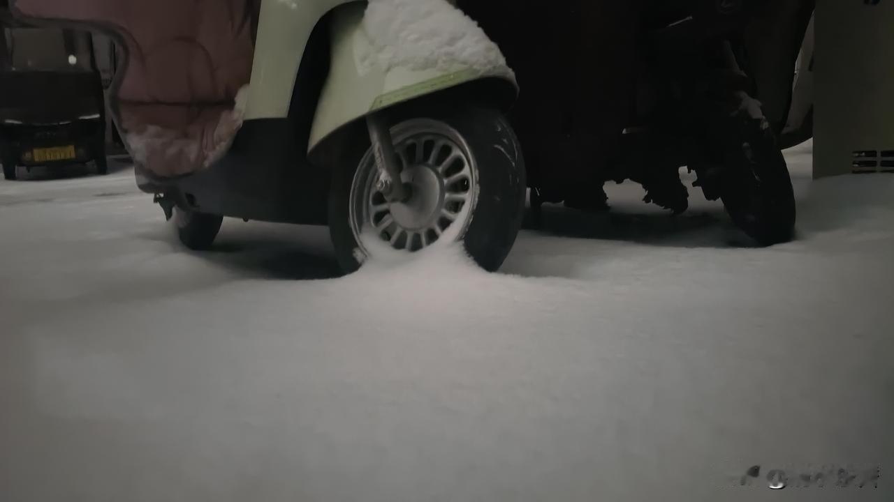 今年冬天的不同今年第二场雪很大，比第一场雪来的更猛烈，更斯文，更轻柔，更寂静。而