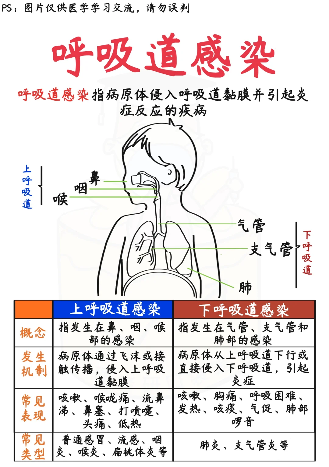 呼吸道问题又高发了，传染性强影响大！