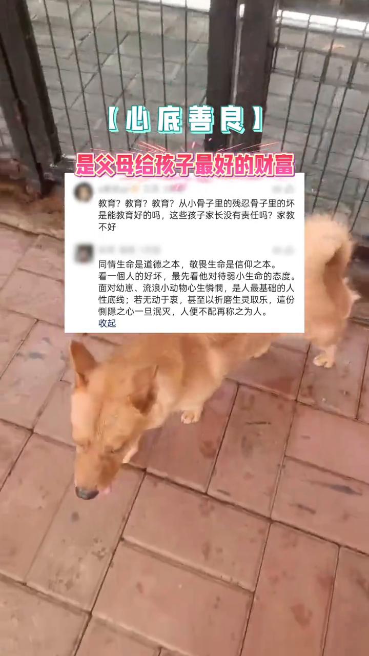 心底善良是父母给孩子最好的财富。
教育？教育？教育？从小骨子里的残忍，骨子里的坏
