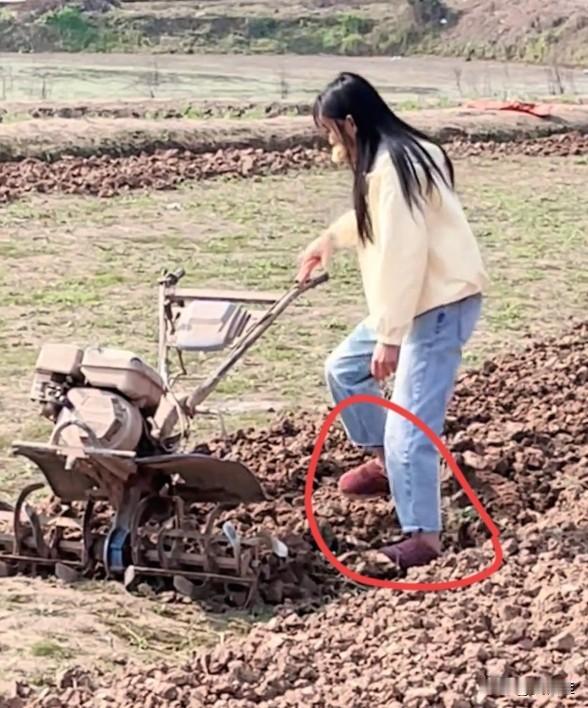 呆呆妹算得上是第一个穿着拖鞋犁地的人了。

呆呆发布了新作品，说想勤快一点，帮父