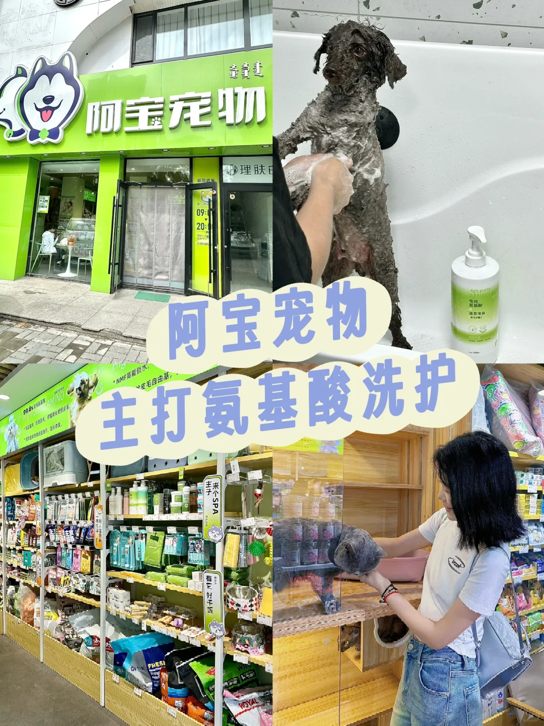 呼和浩特一家靠谱又走心的宠物店🦮阿宝宠物
