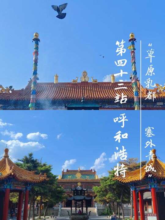 大学生穷游第43站：呼和浩特