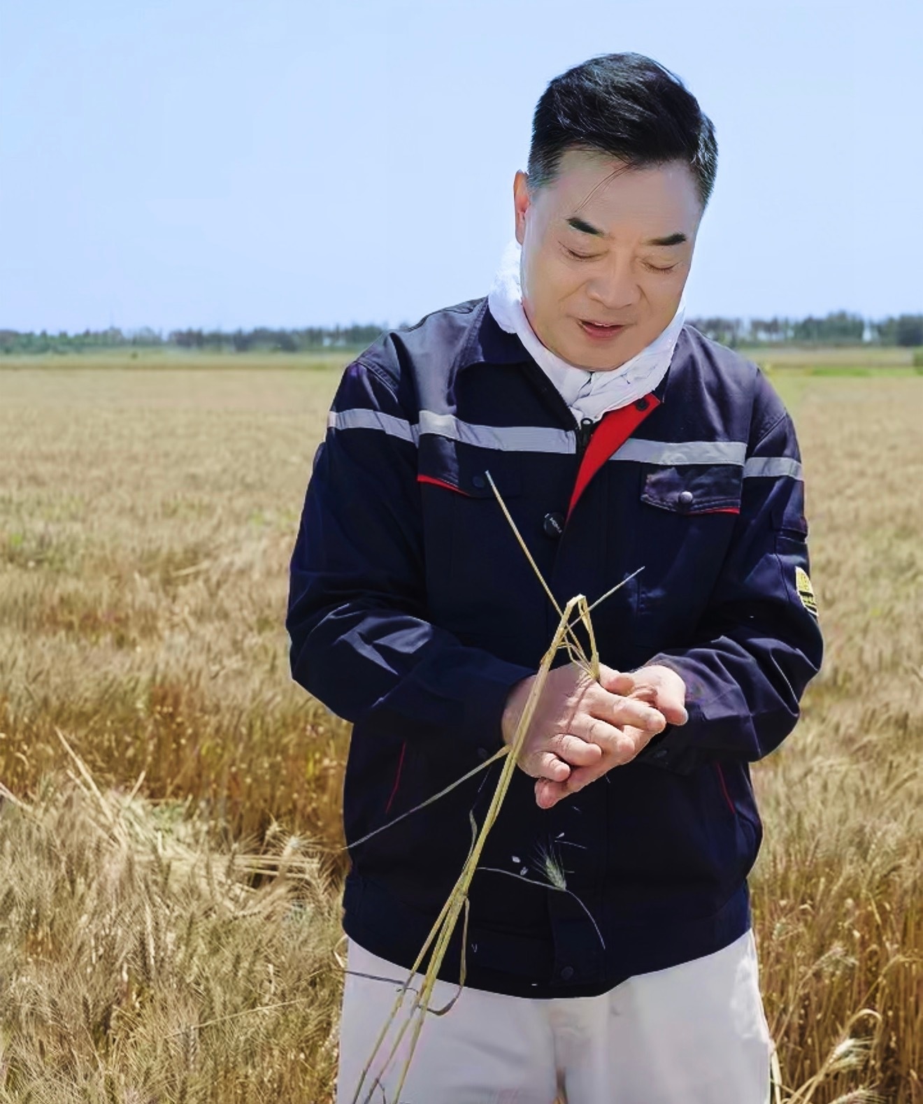范现国为塔克拉玛干捐赠500万五百万捐赠扎根塔克拉玛干治沙事业，一句麦浪盖过黄沙