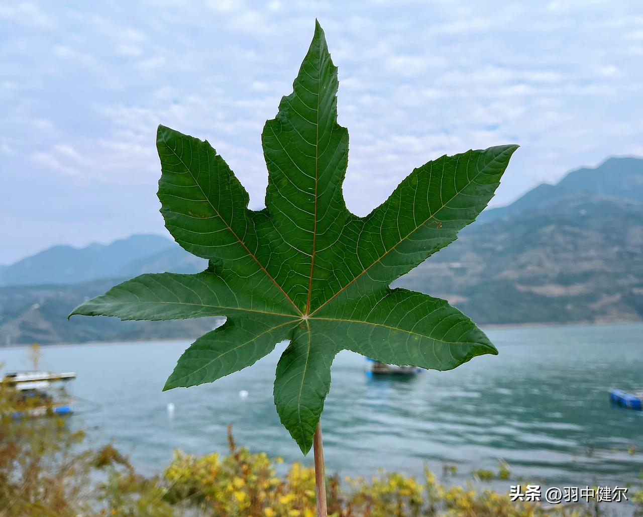 估计80后出生的孩子就很少有人认识它了[捂脸]