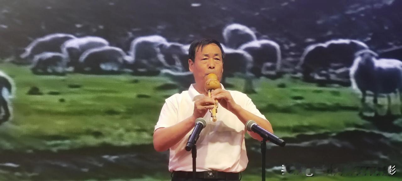 丝韵唱响桃乡 文艺绽放华章
——兰州葫芦丝乐园年会在安宁圆满举办
 
【中国摄影
