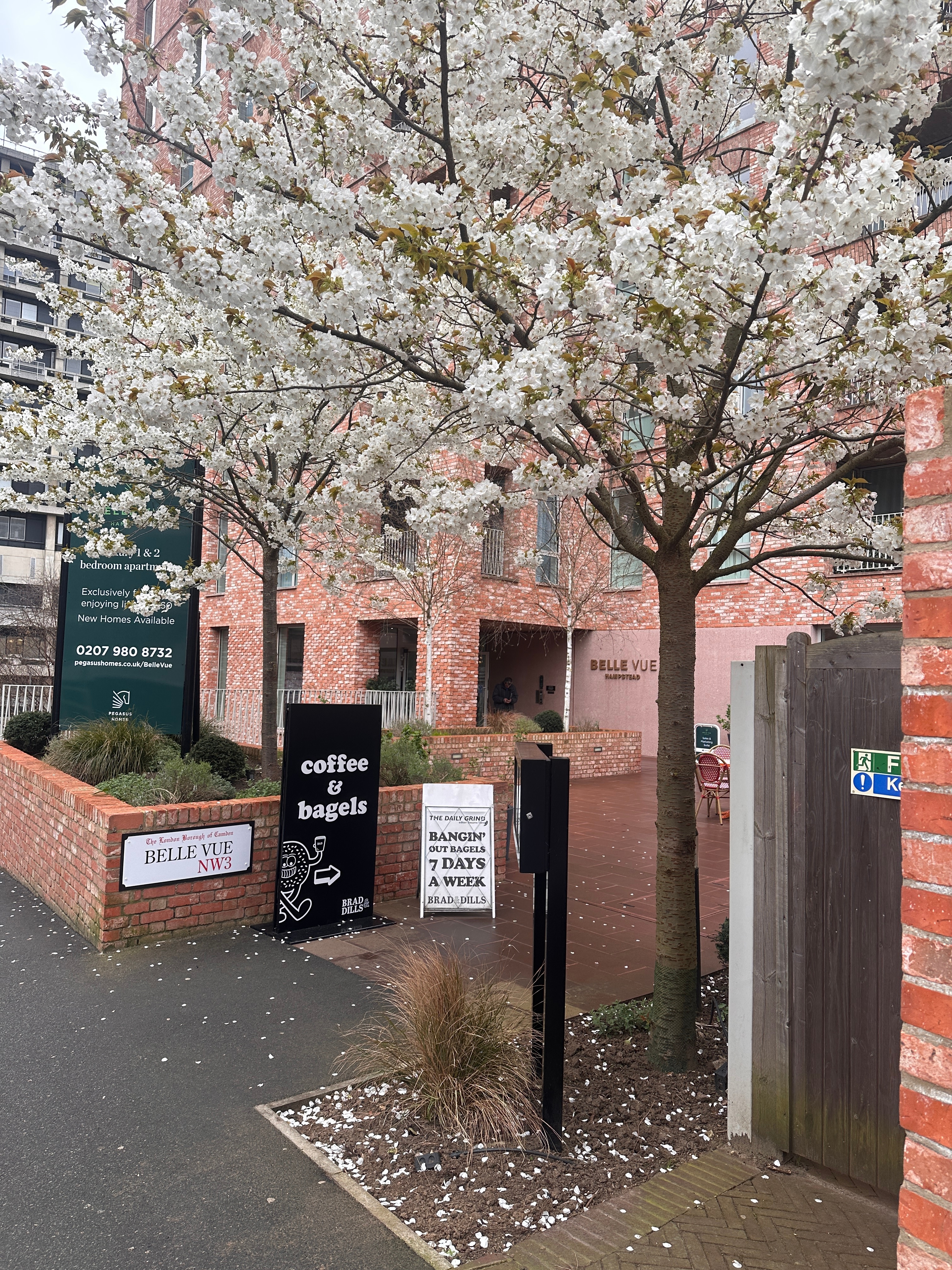 时间过得好快妹妹已经上完了她大一的最后一节课 