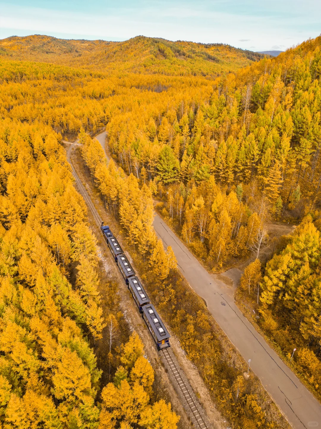 我终于坐上这趟驶入大兴安岭秋天的童话列车
