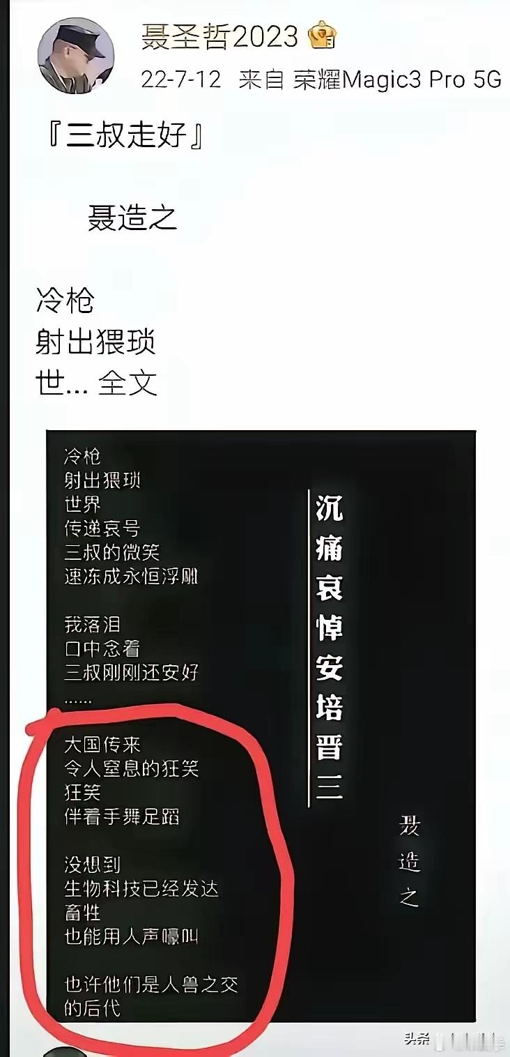 力挺台独对中国人恶意满满的安倍晋三遇刺后，聂圣哲（别名：聂造之）曾作诗悼念他“三