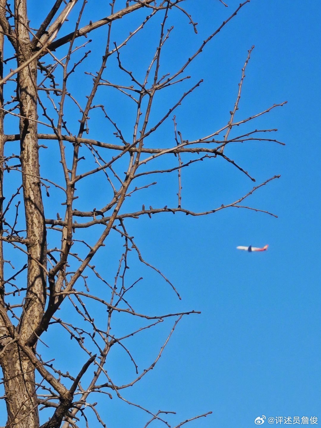 你们那边回暖了么？ 