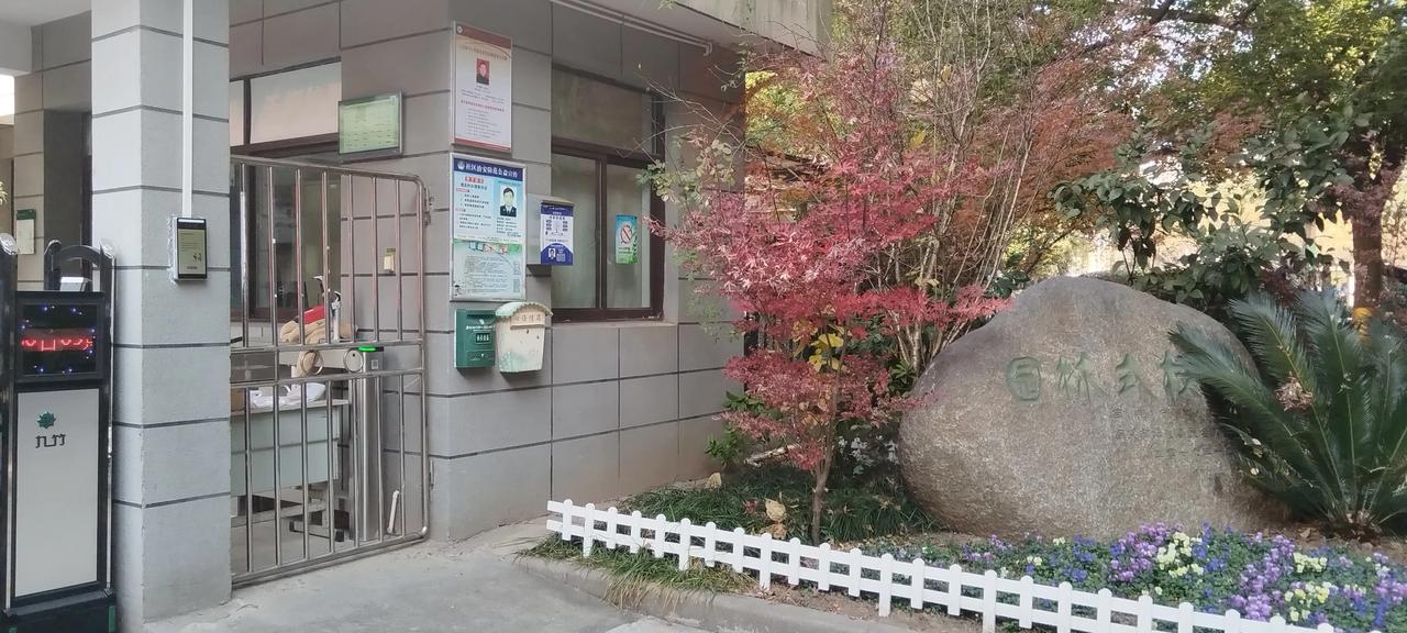 公园美丽景随拍