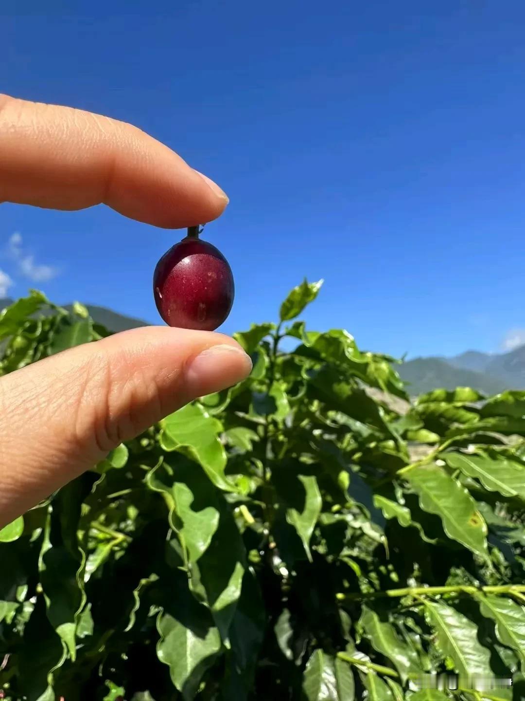 人之生，气之聚也；聚则为生，散则为死。

气能决定人的运气好坏，也构成了人的风水