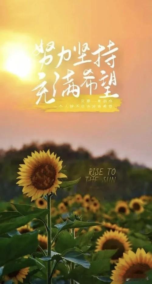 生活，是用来经营的，而不是用来计较的；感情，是用来维系的，而不是用来考验的；爱人