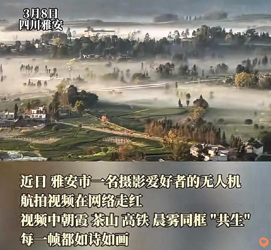 美到窒息！
四川雅安男子无人机首飞，竟拍到现实版“千里江山图”，一列高铁如银龙破