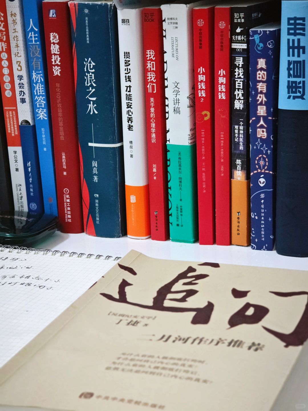 比《沧浪之水》还露骨的《追问》，体制内必看