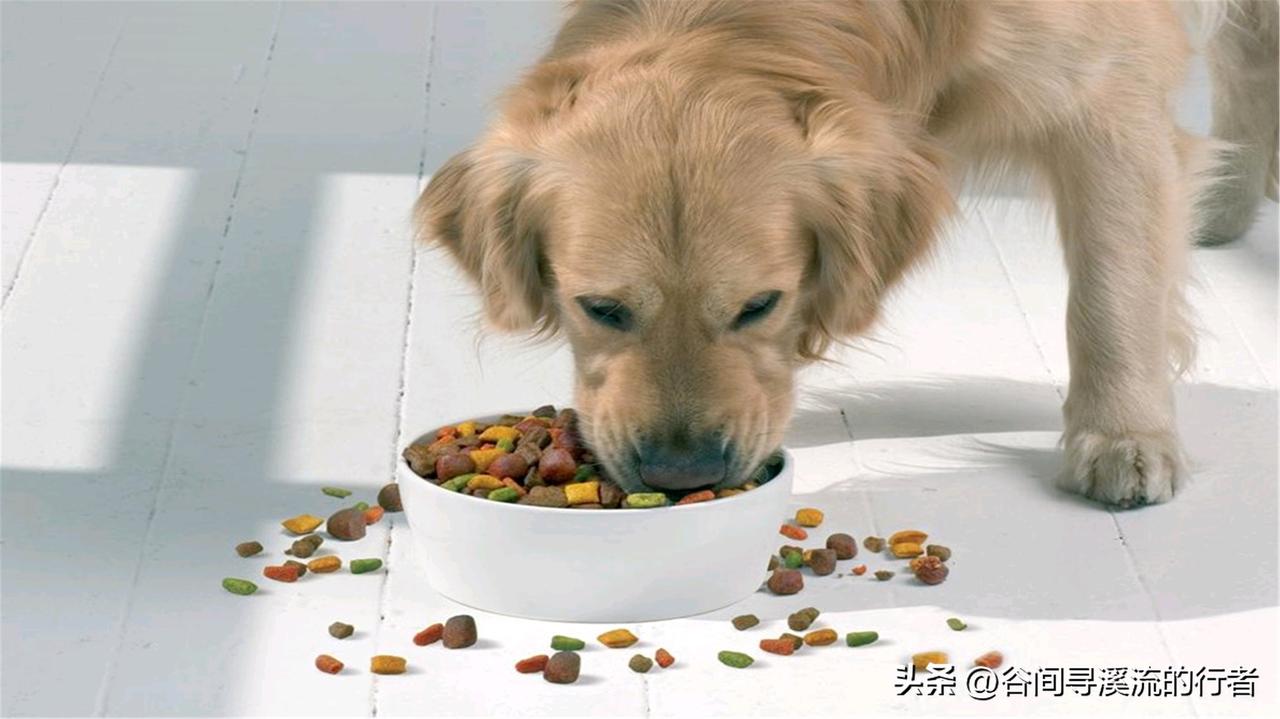 某高校一名大学生，真正做到了“吃软饭”的本事，你觉得荒唐不？

   这位学生为