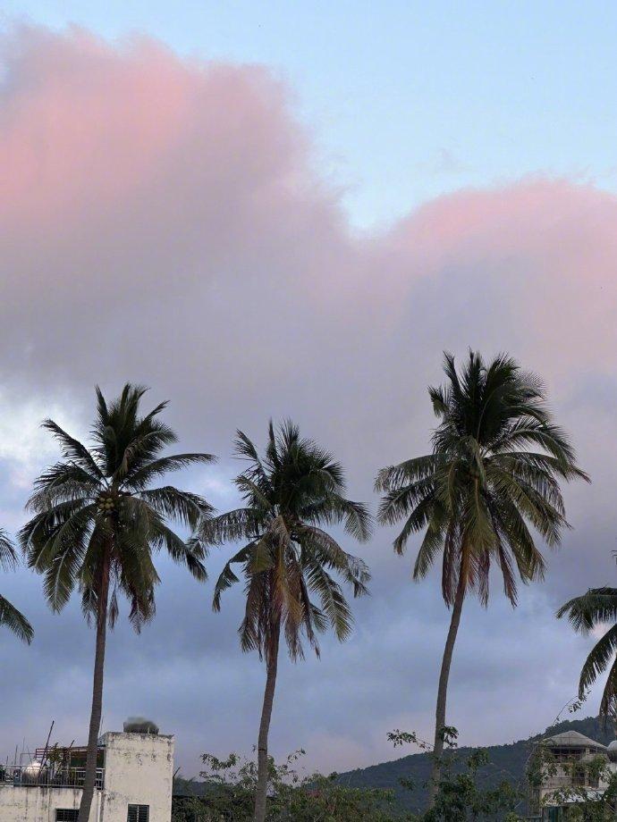 虞书欣姜小暮曼市dailylife十八宫格虞书欣姜暮曼市日常照虞书欣姜暮曼市日常