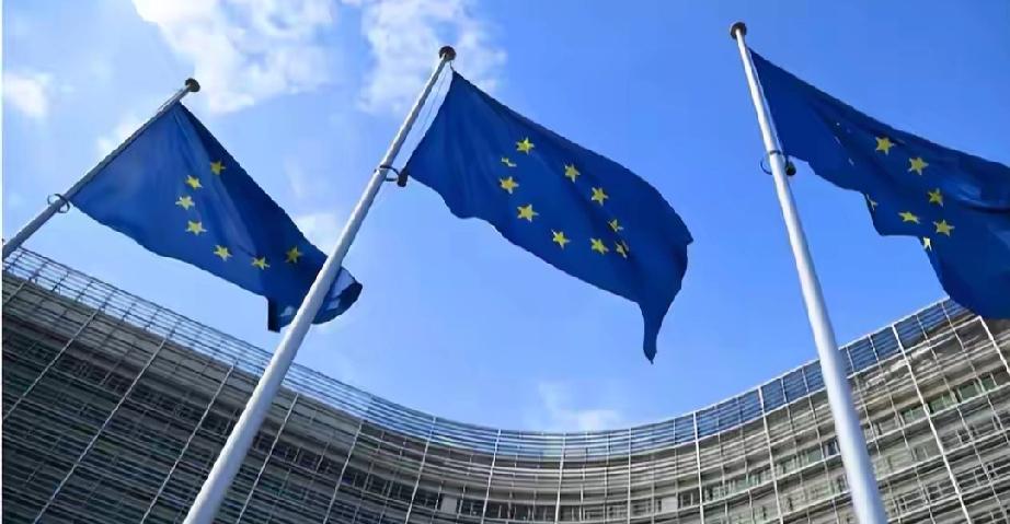 455票反对，德国议会今天投出了决定性的一票。他们否决了一项动议，核心内容是没收