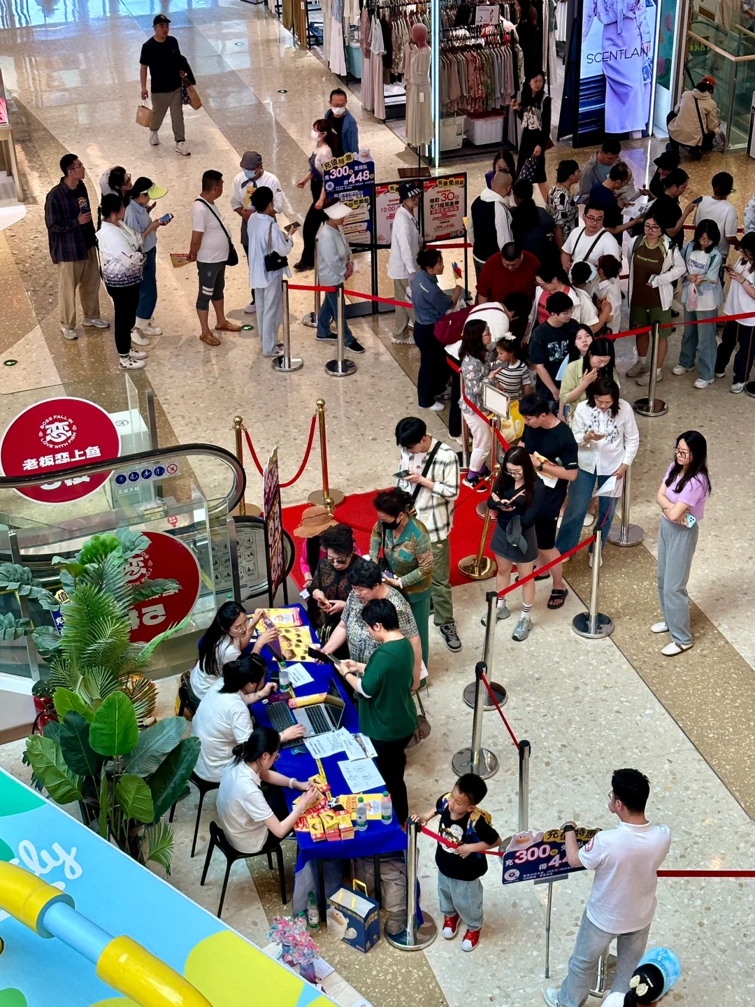 在青岛！！免费的！！！