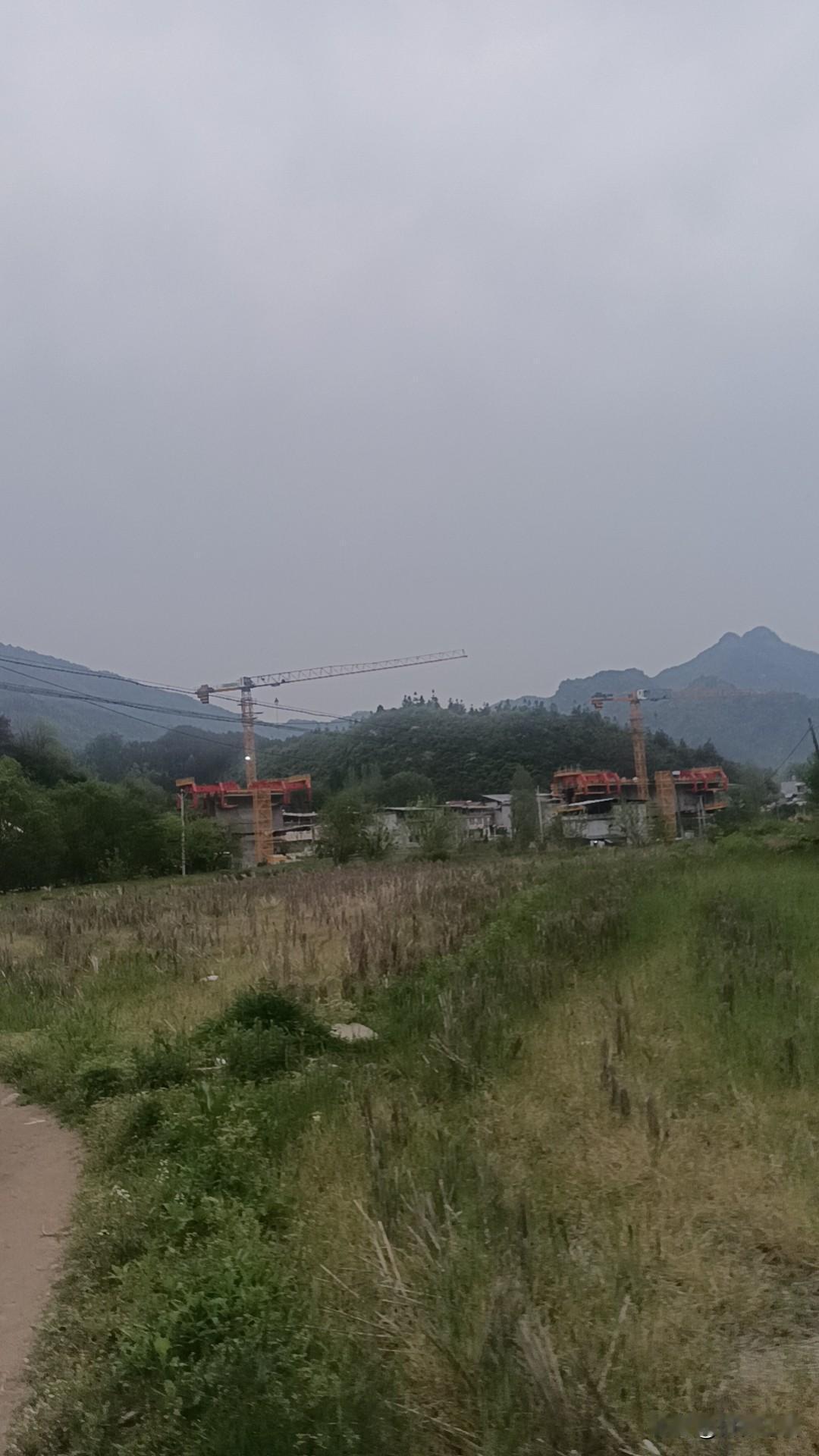 心静，便是最好的人生
人这一辈子，烦恼从来都不是生活太难，而是自己心太乱，总在胡