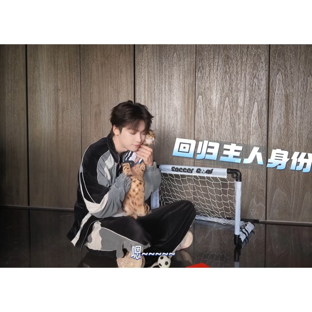 梓渝萌宠世界杯 好可爱的三只呢梓渝：哎呀，小猫咪…然后梓渝就疯狂抱着蹭，啊啊啊啊