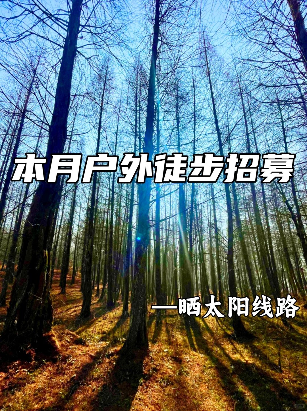 本月户外徒步招募|成都周边晒太阳徒步路线
