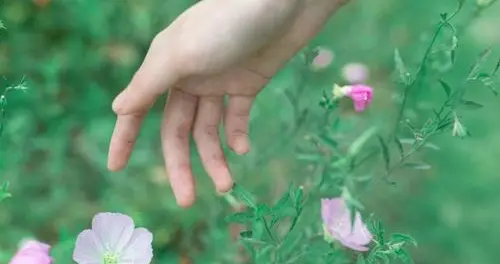 00后中为何出现大量“三无”产品了？