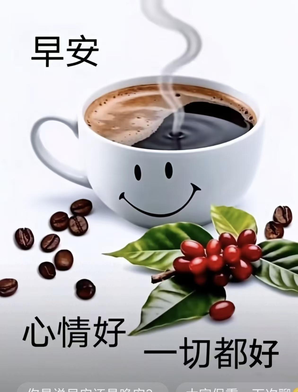一茶一秋，静待时光安然

昨日处暑，夏日的喧嚣，伴着一阵微凉晚风悄然落幕。季节的