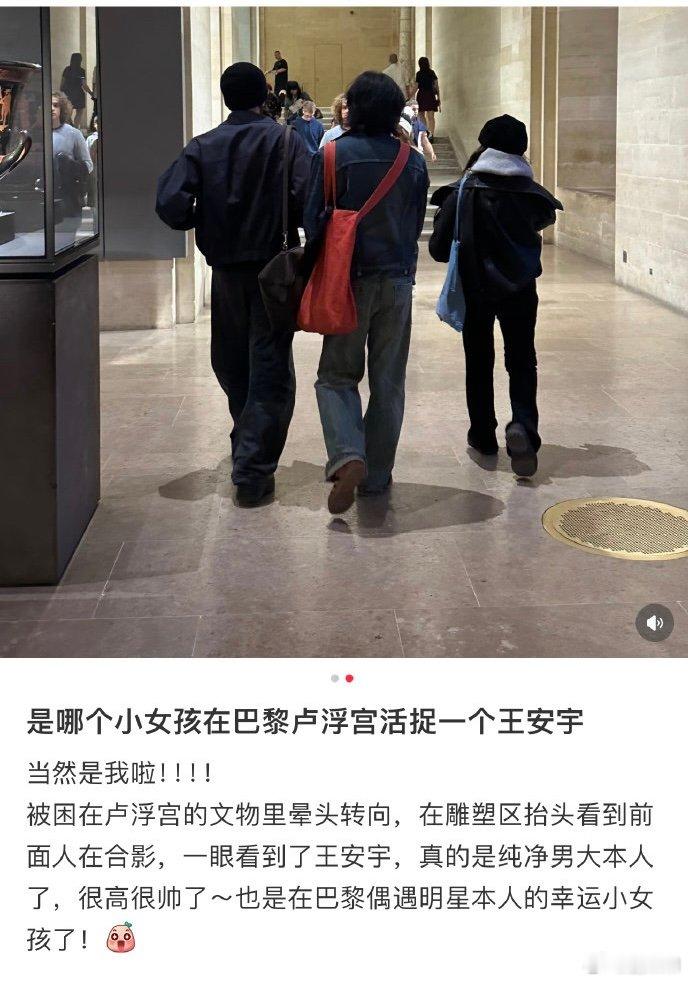 巴黎好多人偶遇王安宇 巴黎好多人偶遇王安宇，看似大家都去卢浮宫，其实都在打卡王安