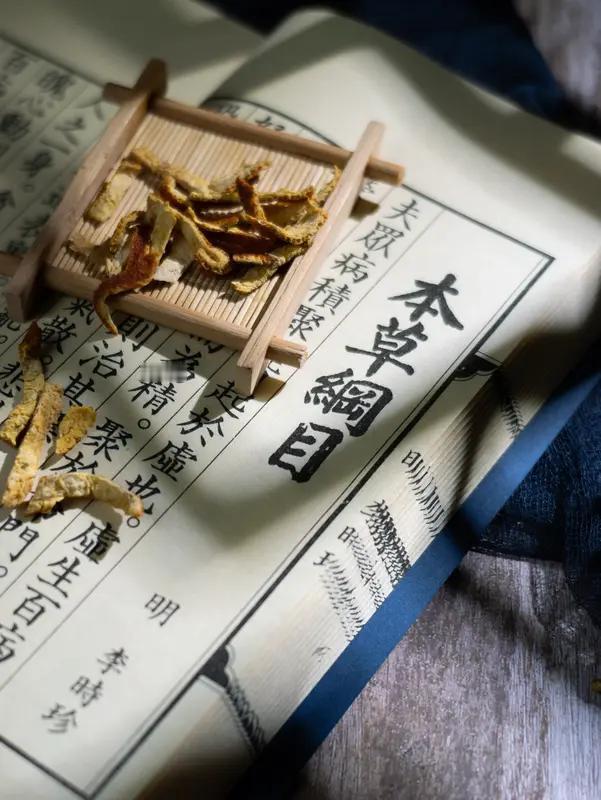 秋冬保健如何开启？

秋冬季节，气温骤降，空气变得干燥，人体的免疫力也在悄然发生