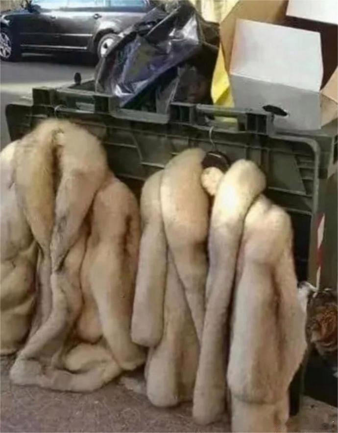下楼倒垃圾，看到垃圾桶旁丢了二件这么好的衣服，现在的人都怎么了，这么好的衣服都舍