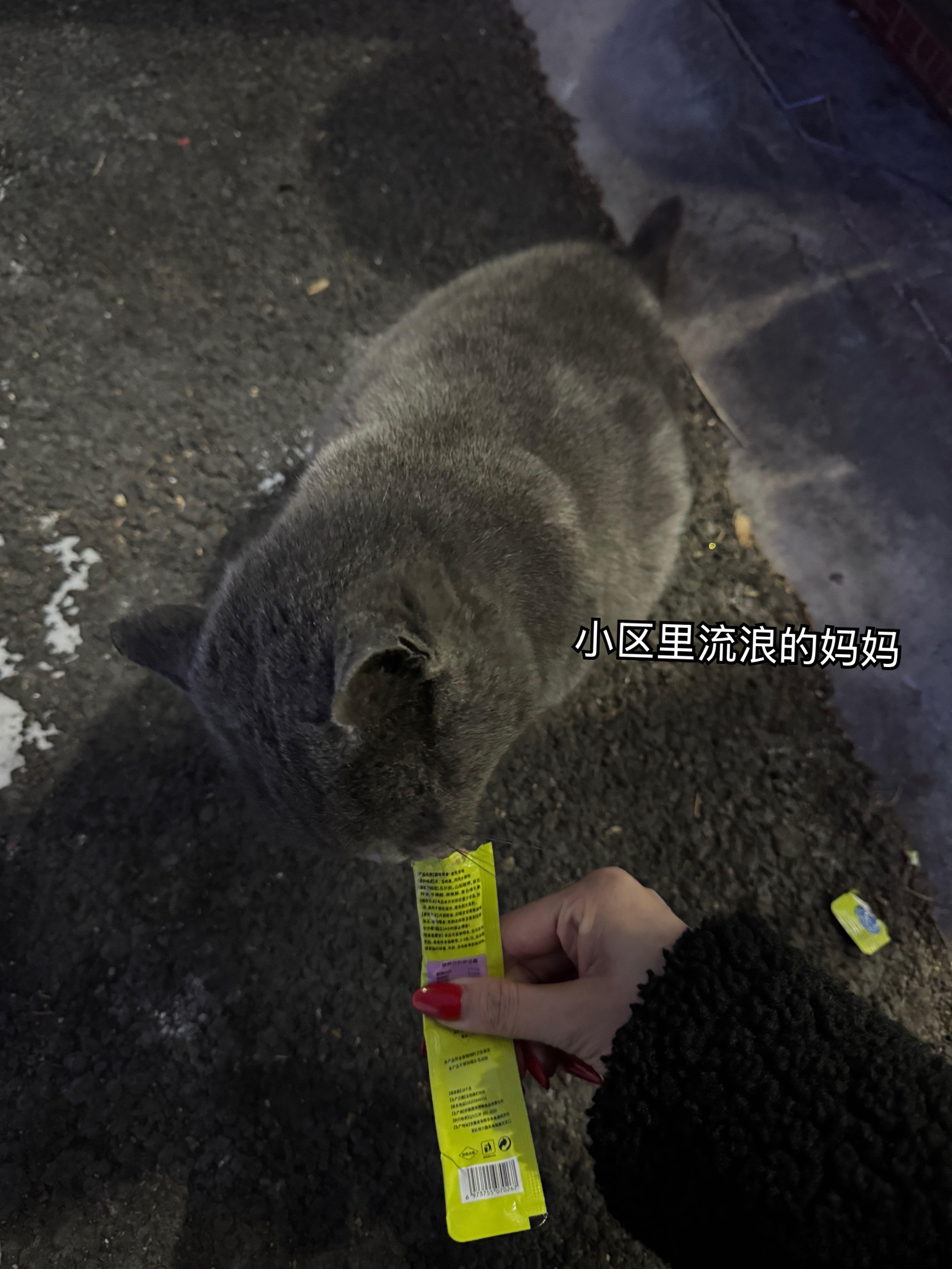 话好密  