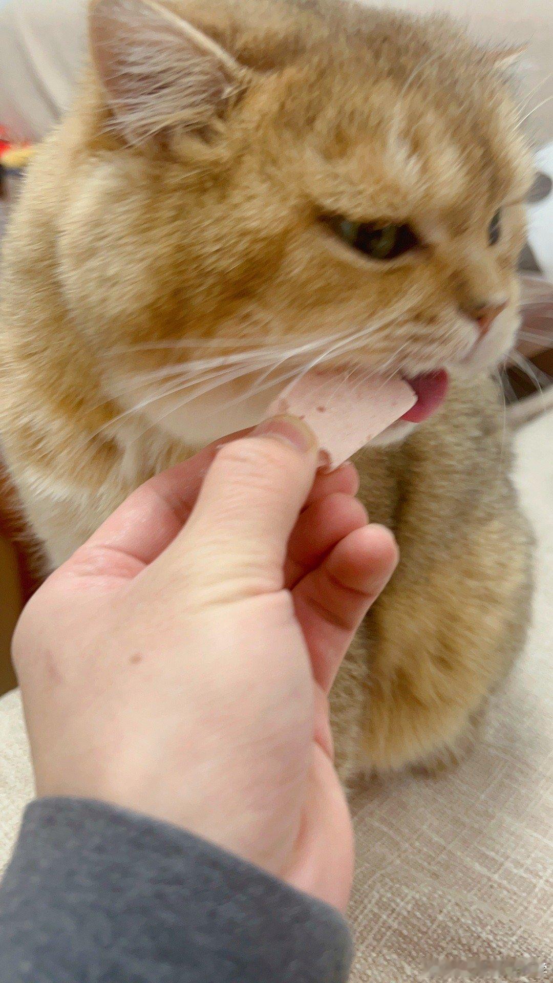 大大方方vs鬼鬼祟祟#猫咪标准假笑##我家有宠初成长# ​​​