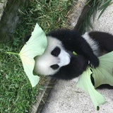 香香热玩游戏