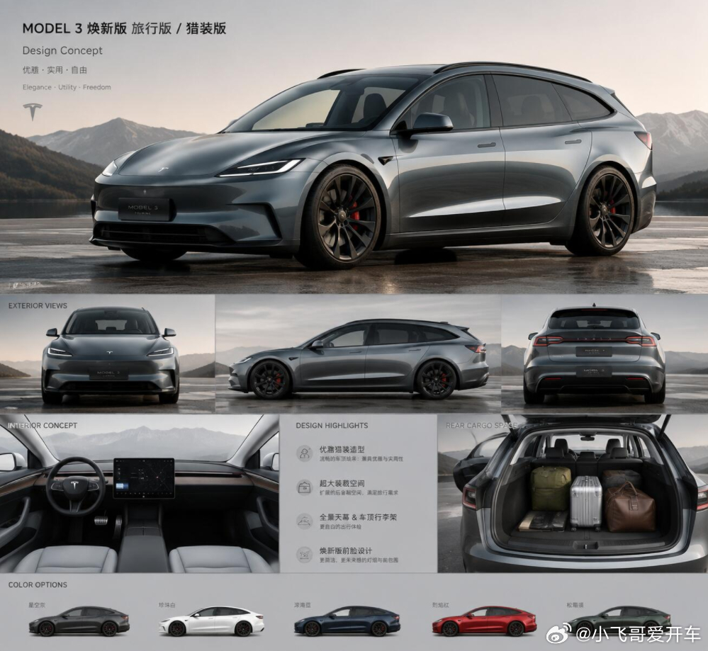 虽然是p的，但是确实蛮好看的。如果MODEL 3出个猎装版，销量能起来，可惜特特
